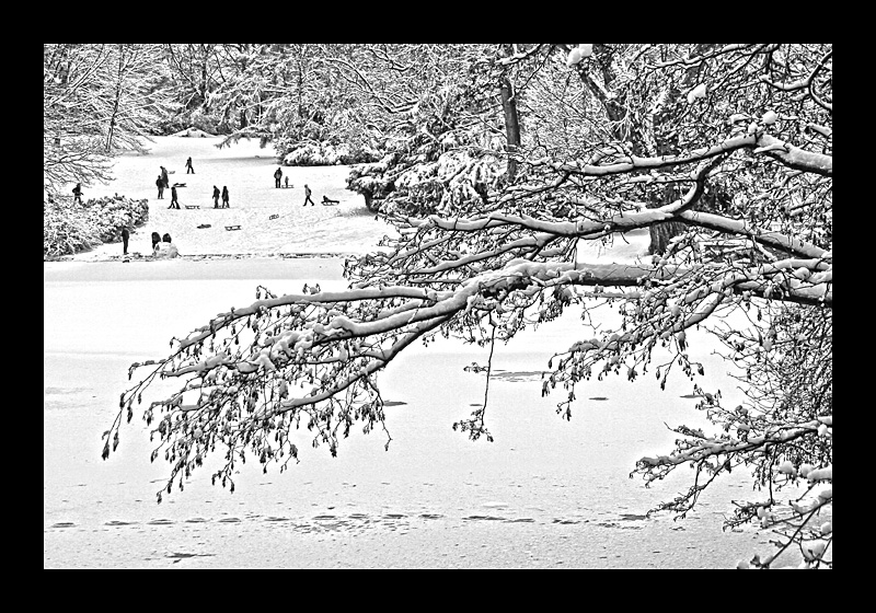 Winterfreuden (18.12.2010, Stadtpark, Bochum, Canon EOS 7D)