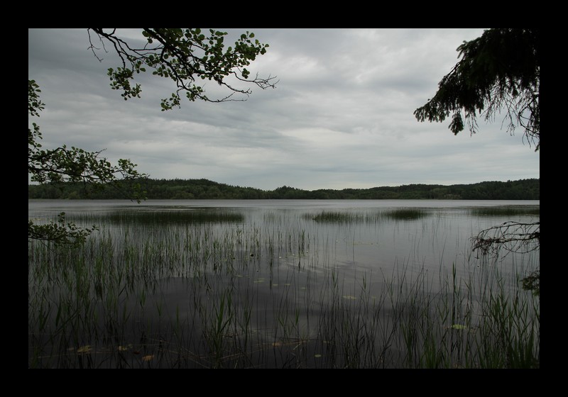 Vor dem Regen (29.06.2012, Asens By, Schweden - Canon EOS 7D)
