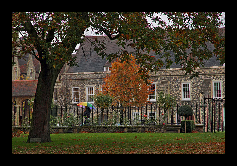 Bunter Herbst (Canterbury, England - Canon EOS 7D)