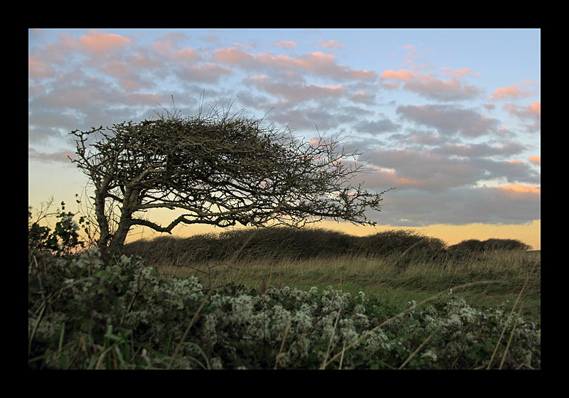Woher weht der Wind? (Beachy Head, England - Canon EOS 7D)