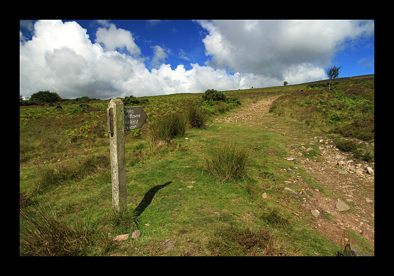 Hügelbesteigung (Dunkery Beacon, Exmoor, England - Canon EOS 7D) 