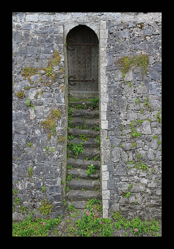 Castle Door (Kilkenny, Irland - Canon EOS 7D)