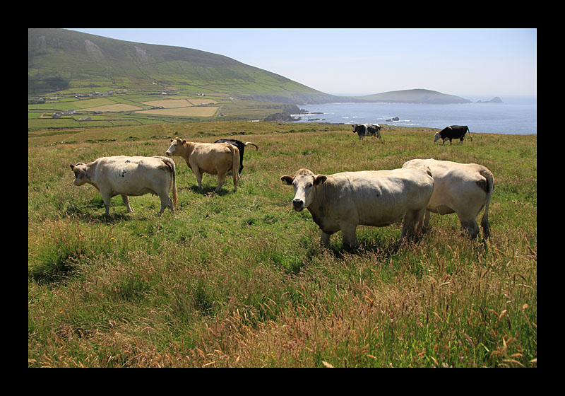Ring of Kerry (Irland - Canon EOS 7D)