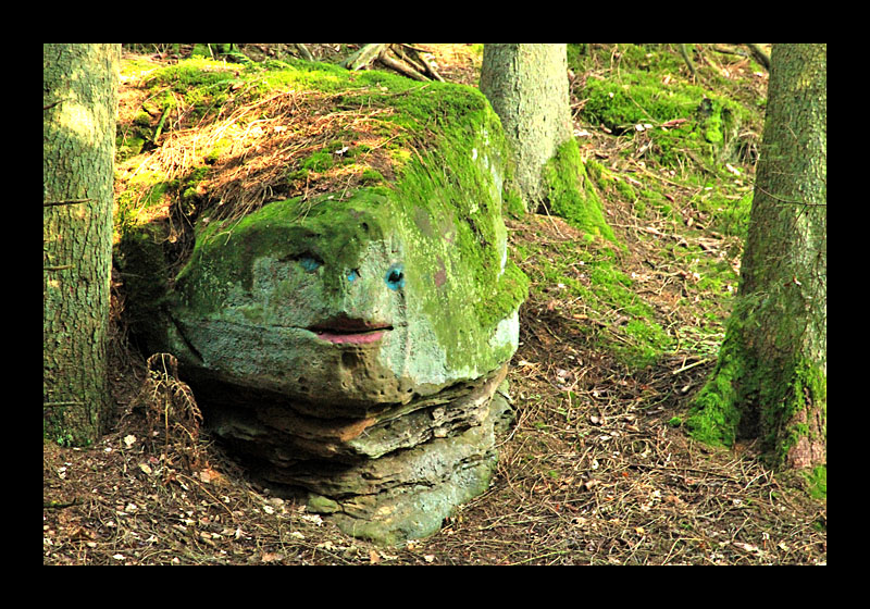 Gesicht im Fels (Müllerthal-Trail, Luxemburg - Canon EOS 7D)