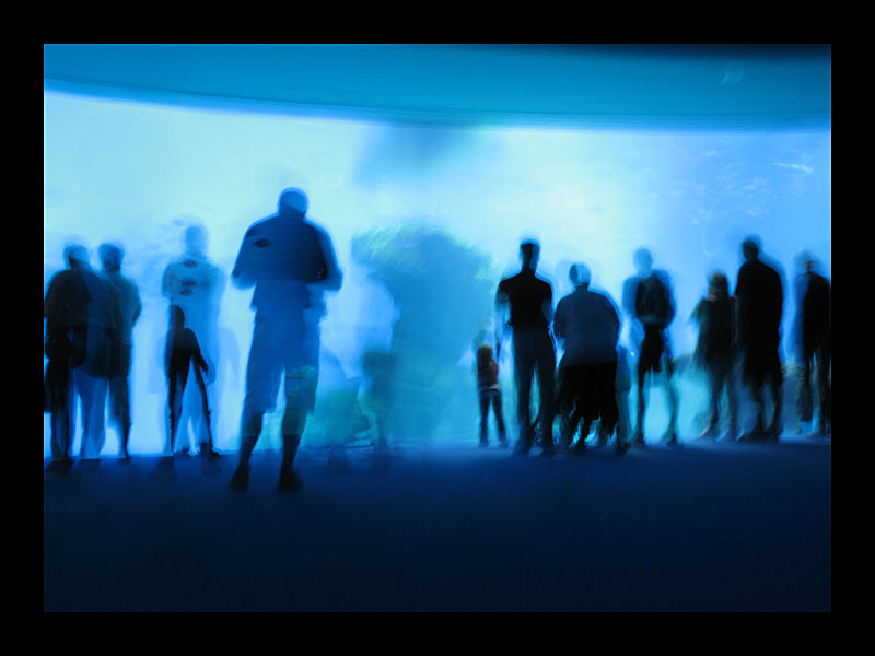 The Big Blue (Aquarium, Palma - Canon PowerShot A 640)