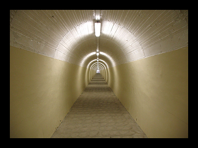 Tunnelblick (Durie Hill, Wanganui - Canon PowerShot A 640)