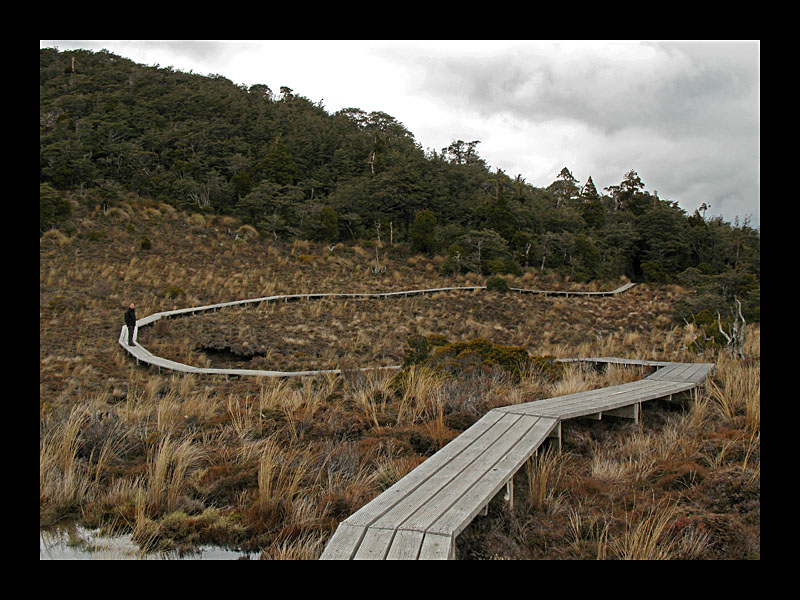 Auf dem Holzweg (Waitonga Falls - Canon PowerShot A 640)