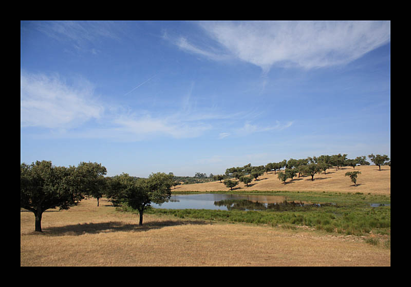 Weite Landschaft (Alto Alentejo, Portugal - Canon EOS 1000D)