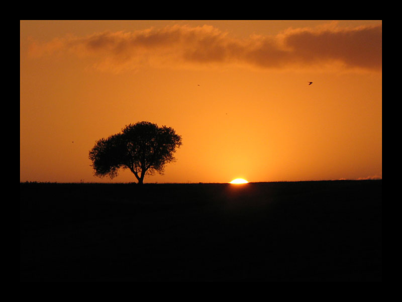 Sonnenuntergang (Toskana - Canon PowerShot A 640)